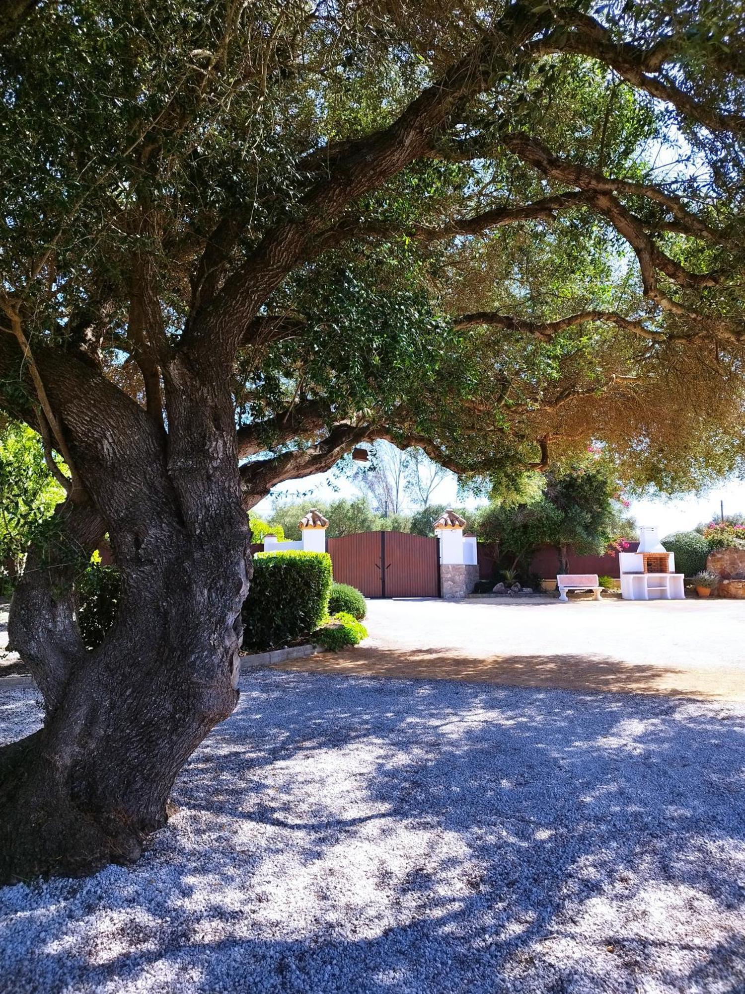 Vivienda Rural Los Madronos Malcocinado  Esterno foto