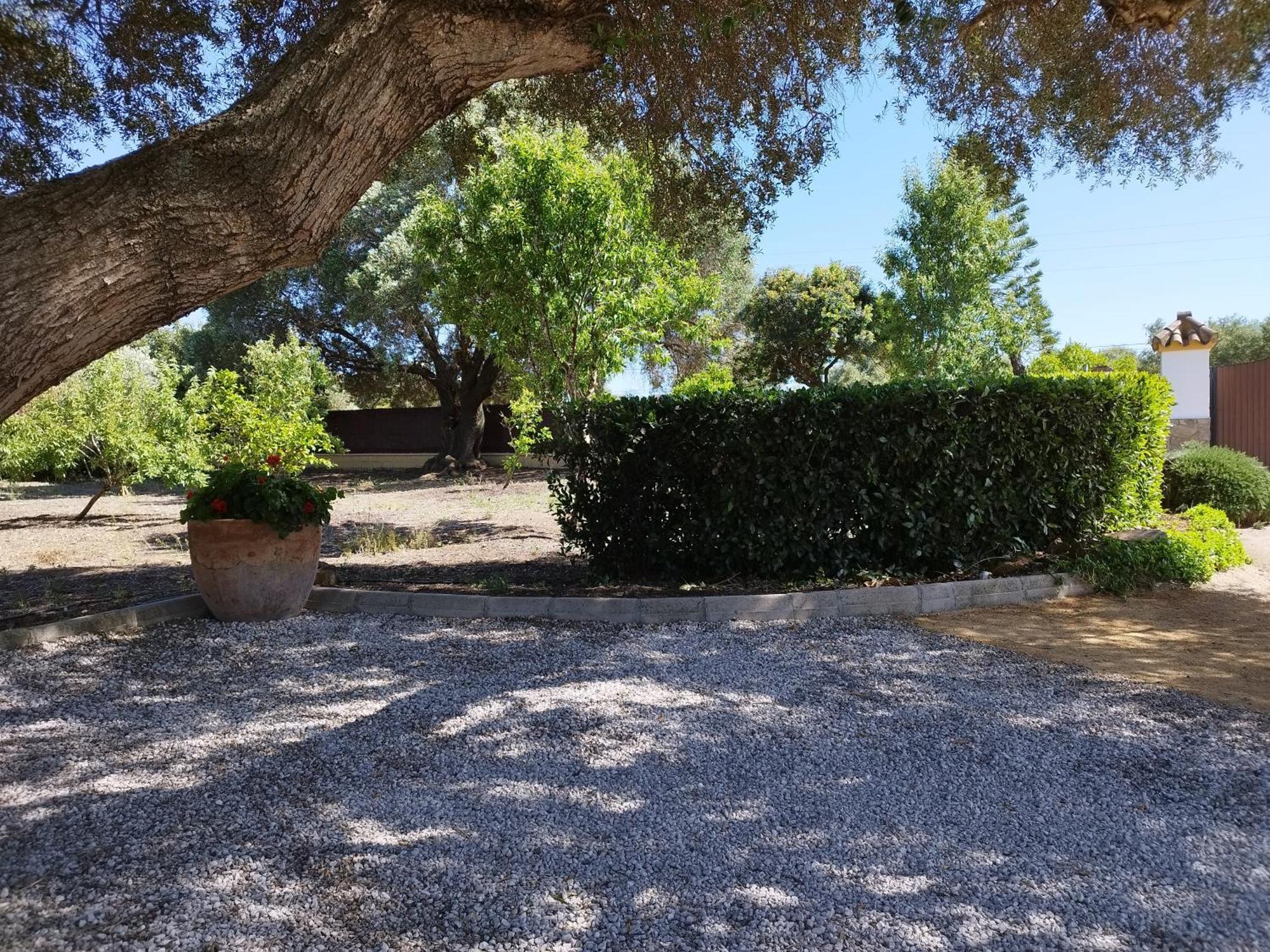 Vivienda Rural Los Madronos Malcocinado  Esterno foto